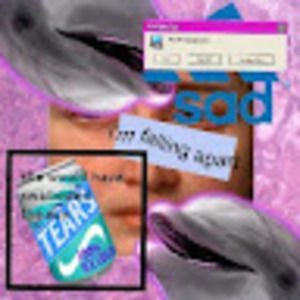 Meet your Posher, Nellie